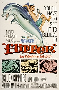 Theatrical poster for the film Flipper (1963) by Reynold Brown.