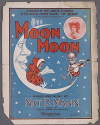 * Dedication: Dedicated to Miss Lillie Baumgartl.On cover: Photograph of Christie MacDonald.On cover: Two African Americans one playing banjo the other reading music sitting on a crescent moon. [caricature]The Toreador. [musical]Statement of responsibility : words and music by Nat. D. Mann.