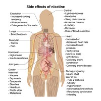 Main side effects of nicotine (See Nicotine).To discuss image, please see Talk:Human body diagrams
