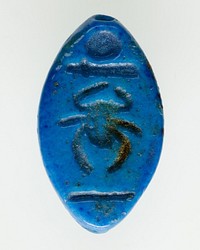 Cowroid Seal-Amulet Inscribed with the Throne Name of Thutmose II