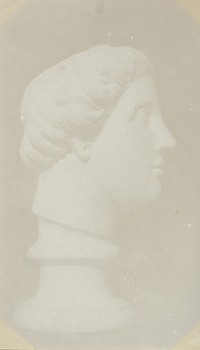 [Classical Head in Profile]