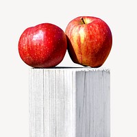 Red apples on wooden rod   isolated image