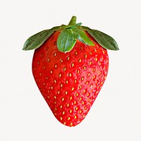 Strawberry isolated image