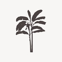 Plantain tree silhouette illustration collage element psd