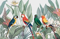 Colorful parrots vintage illustration background