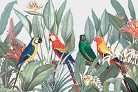 Macaw birds, spring design element psd