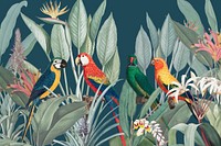 Colorful parrots vintage illustration background