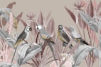 Macaw birds, spring vintage illustration collage element psd