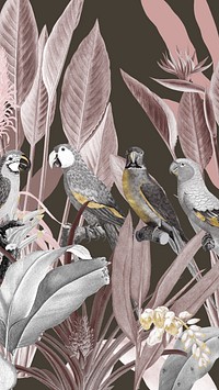 Birds vintage illustration iPhone wallpaper