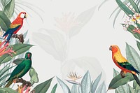 Colorful parrots vintage illustration background