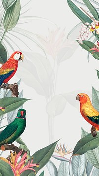 Colorful birds, white iPhone wallpaper