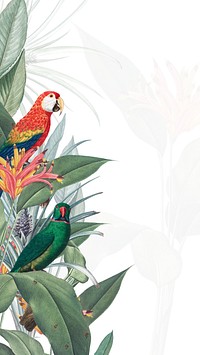 Parrots vintage illustration, birds iPhone wallpaper