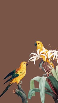 Birds vintage illustration iPhone wallpaper