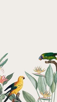 Parrots vintage illustration, birds phone wallpaper