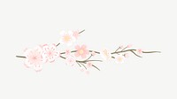 Pastel flowers illustration, japanese sakura psd