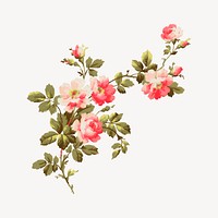 Aesthetic vintage flower painting psd