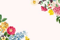 Colorful flower border beige background, botanical illustration