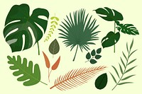 Monstera leaf illustration, tree leaves set psd