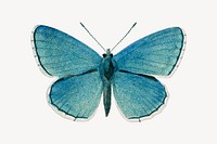 Blue butterfly isolated design