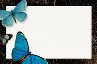 Black butterfly frame marble background