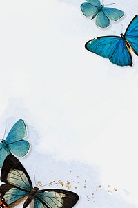 Blue butterfly border background