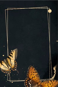 Vintage frame butterfly, black background