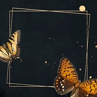 Vintage frame butterfly, black background