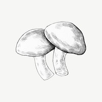 Mushroom vintage illustration, collage element psd