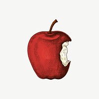 Bitten apple vintage illustration, collage element psd