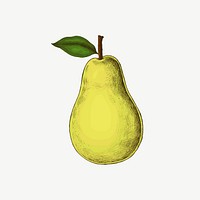 Pear vintage illustration, collage element psd