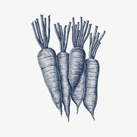 Carrots blue illustration, collage element psd