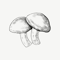 Mushroom vintage illustration, collage element psd