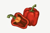 Bell pepper vintage illustration, collage element psd