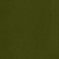 Dark green textured background