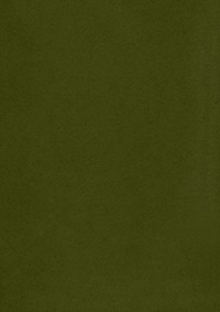 Dark green textured background