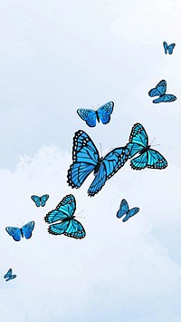 Beautiful butterfly sky phone wallpaper