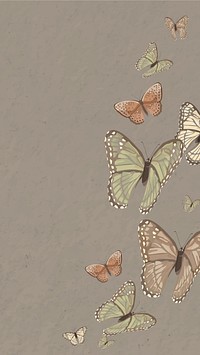 Aesthetic butterfly nature phone wallpaper