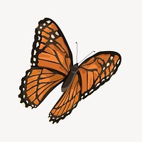 Aesthetic orange butterfly illustration vector