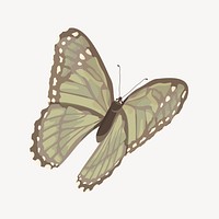 Aesthetic green butterfly illustration vector