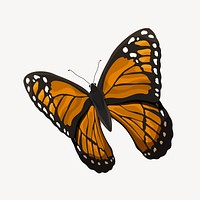 Aesthetic orange butterfly illustration vector