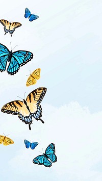 Beautiful butterfly sky phone wallpaper