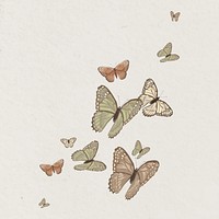 Aesthetic butterfly nature illustration background