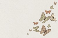 Aesthetic nature butterfly illustration background