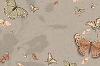 Aesthetic nature butterfly illustration background