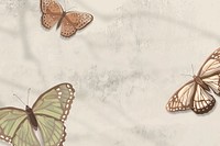 Aesthetic butterfly illustration background