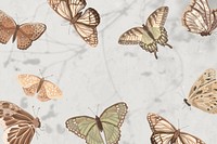 Aesthetic butterfly nature illustration background