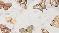 Aesthetic butterfly nature desktop wallpaper
