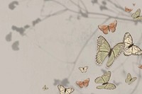 Aesthetic nature butterfly illustration background