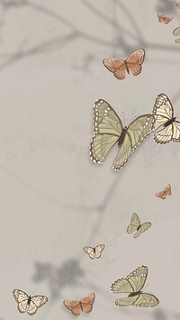 Aesthetic nature butterfly phone wallpaper