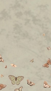 Aesthetic butterfly nature phone wallpaper